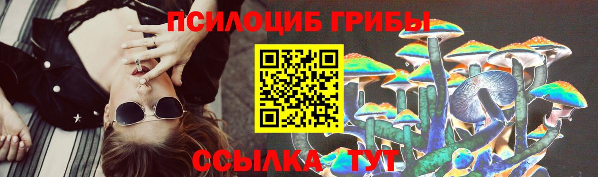 Галлюциногенные грибы Psilocybe Кубинка